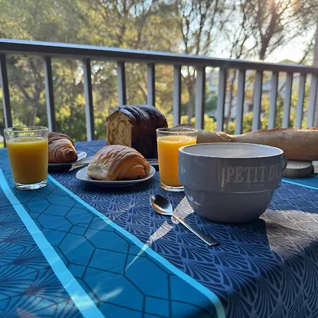 Climatise Avec Piscine Et Parking Prive Fréjus
